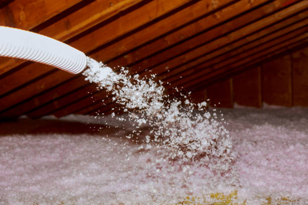 Best Insulation Maintenance and Repair in Sea Girt, NJ